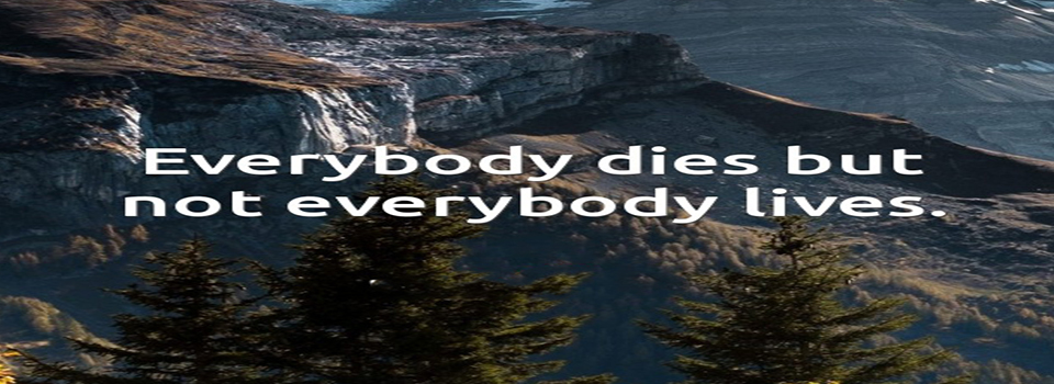 everybody dies but not everybody lives