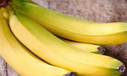 Bananenchips: gezond en snel klaargemaakt
