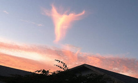 Angel in the Sky