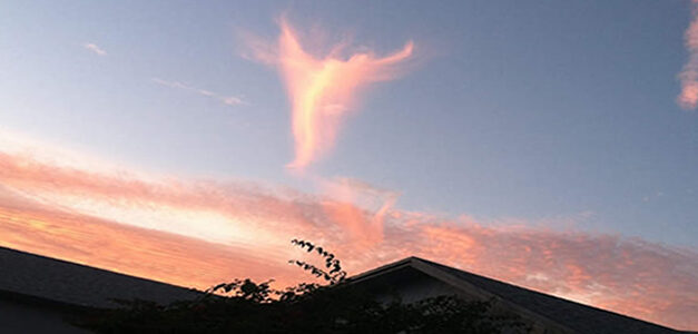 Angel in the Sky