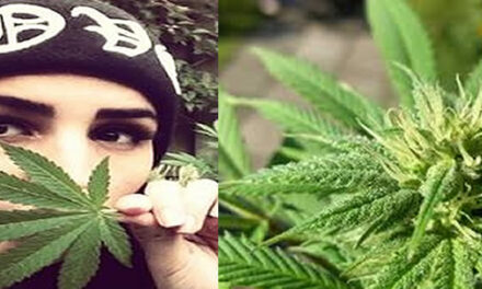 Amerikaans Congres maakt einde aan verbod op medicinale cannabis