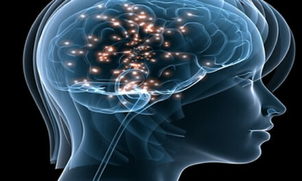 Do We Really Use Only 10% Of Our Brain?