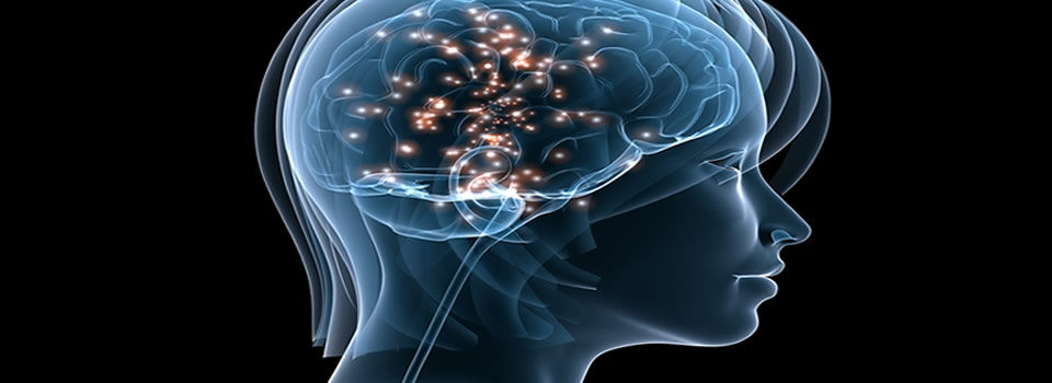 Do We Really Use Only 10% Of Our Brain?