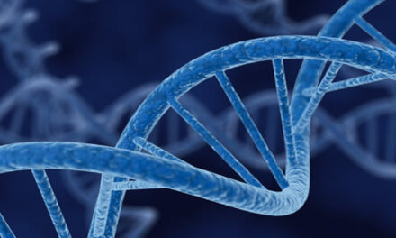 De verborgen DNA code en de Maya Kalender