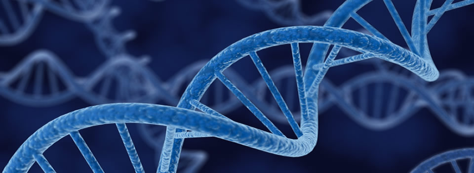 De verborgen DNA code en de Maya Kalender