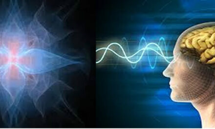 Levels of Consciousness