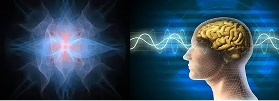 Levels of Consciousness