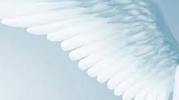 What Is An Angelic Human?
