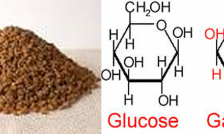 Galactose, onmisbaar voor onze gezondheid