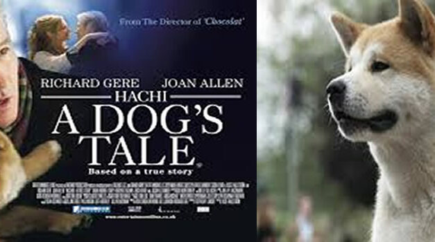A Boy and His Dog