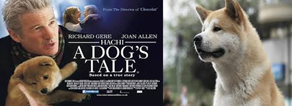 A Boy and His Dog