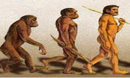 Neanderthalers verzorgden zieken ook wanneer het ze niks opleverde