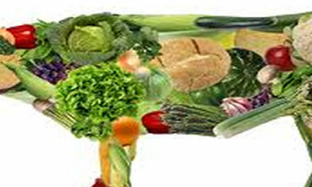 Bewust omgaan met vlees eten