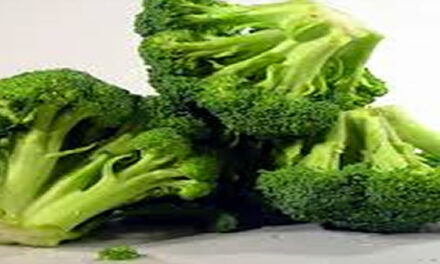 Hoe broccoli het brein beschermt bij een beroerte