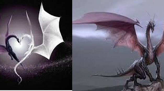 Bestaan draken?