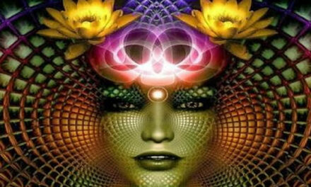 Quantum hypnosis explored