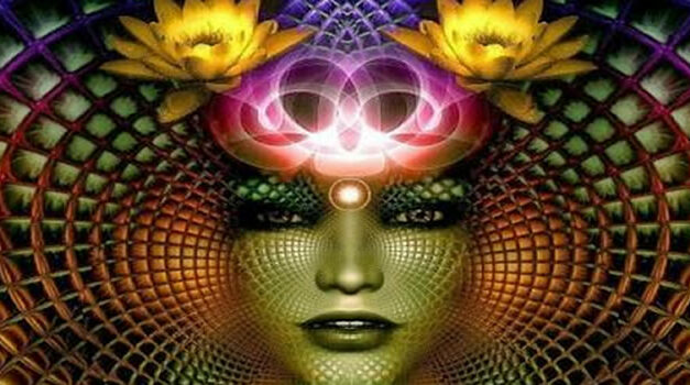 Quantum hypnosis explored