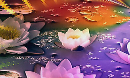 How to create miracles & live a magical life? Robert Young