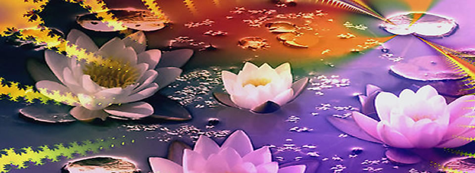How to create miracles & live a magical life? Robert Young