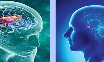 Brain Self Control via de Amygdalae, deel 1