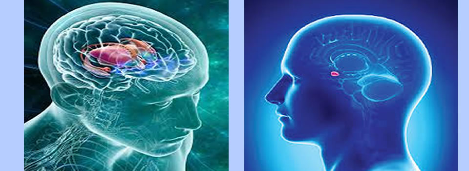 Brain Self Control via de Amygdalae, deel 1