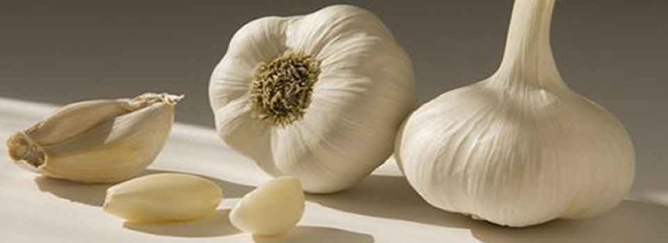 De vele voordelen van knoflook