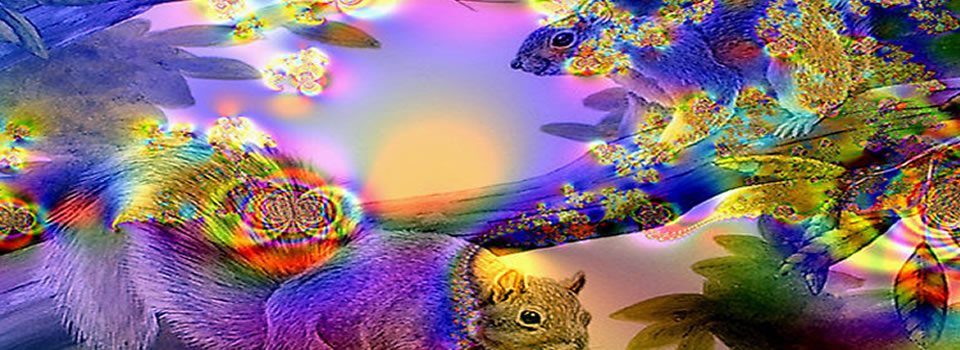 The Science of Interconnectedness: Cassandra Vieten