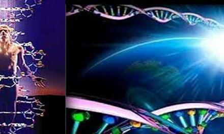 Transcendence – your pain is the path to freedom