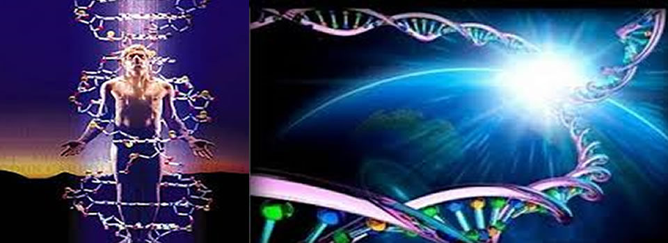 Transcendence – your pain is the path to freedom