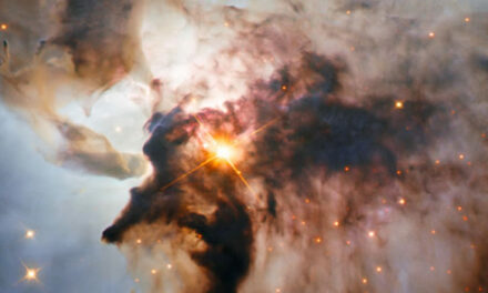 New findings have physicists questioning reality