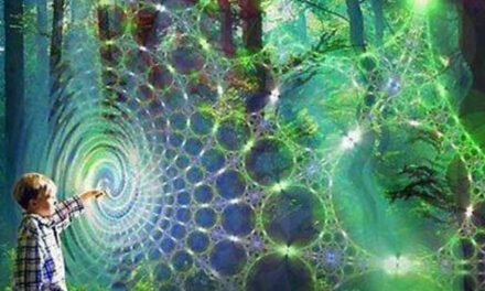 Realizations People Experience After Consuming Ayahuasca