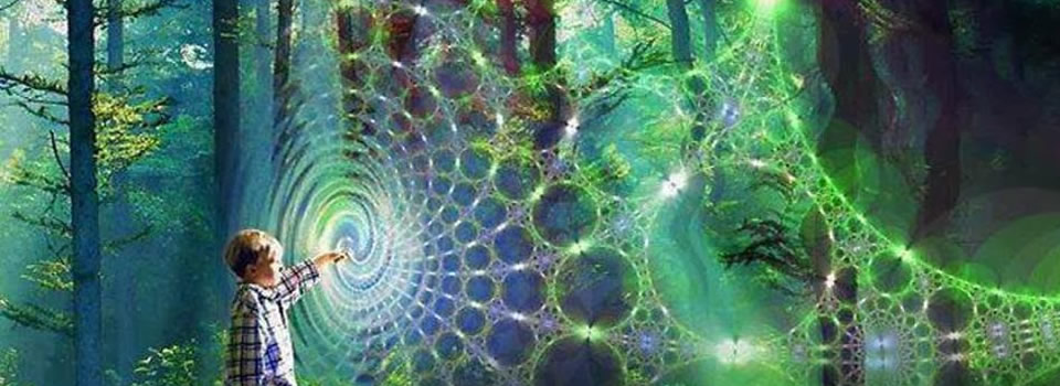 Introduction to Spontaneous Evolution, Bruce Lipton