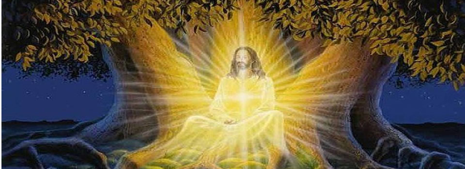 You Are God: The True Teachings of Jesus