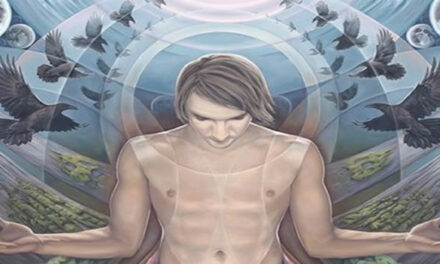 How Psychedelics Saved My Life