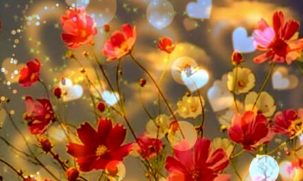 Everything Is A Miracle