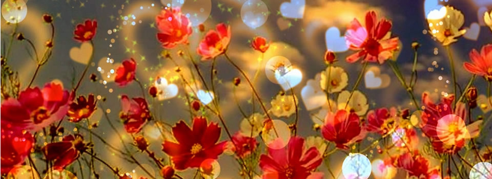 Everything Is A Miracle