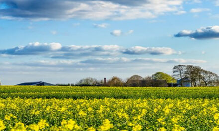 The Great Denmark To Become A 100% Organic Country