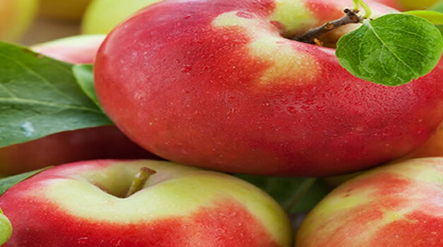 Mensen die appels eten leven langer