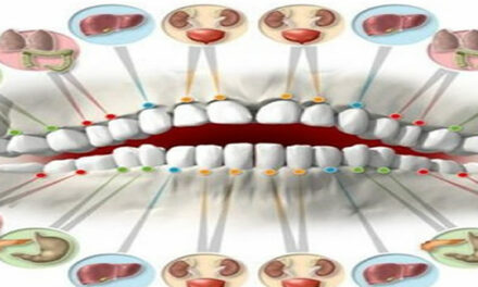 Each Tooth Is Associated With Organ In The Body!