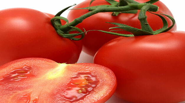 Tomaten als remedie voor spataderen