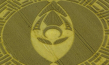 First Crop Circle of 2019 Appeared In England
